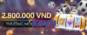 K8VN