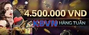 K8VN