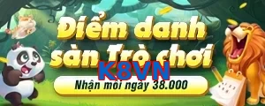 K8VN