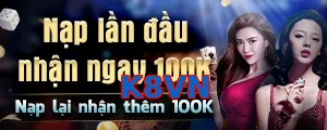 K8VN