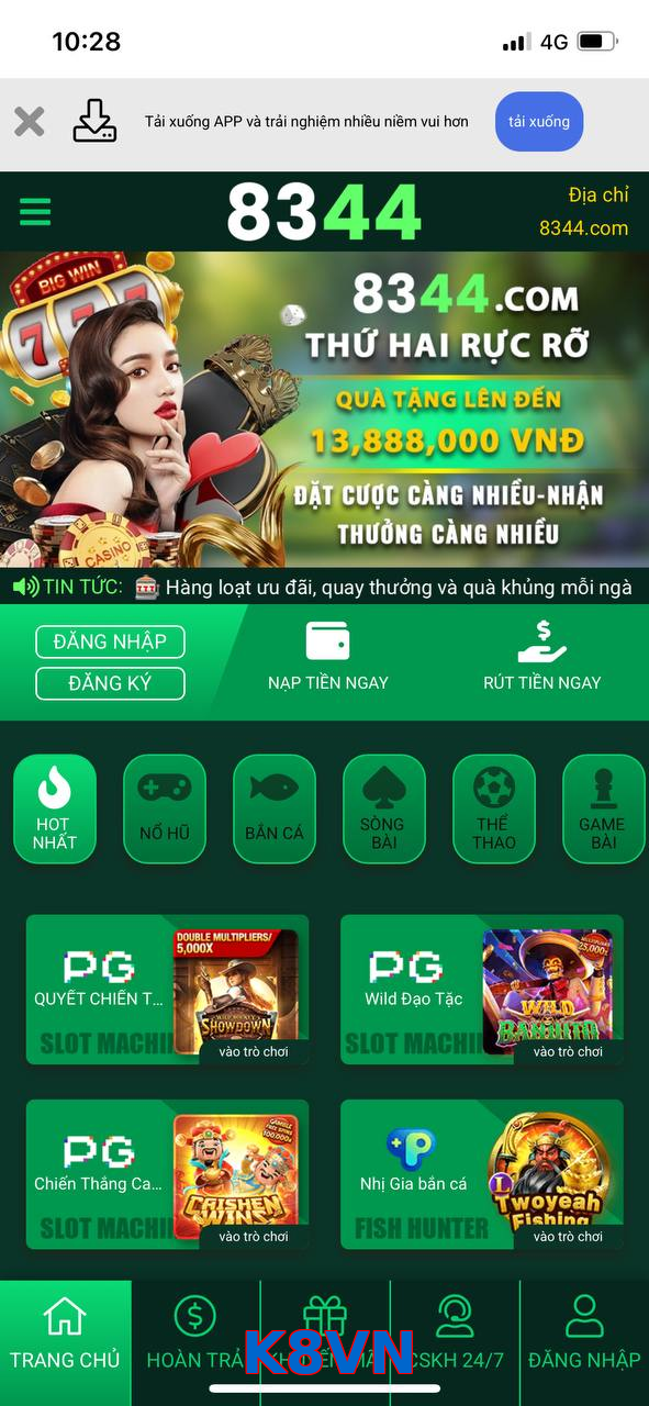 K8VN