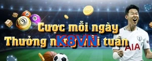 K8VN